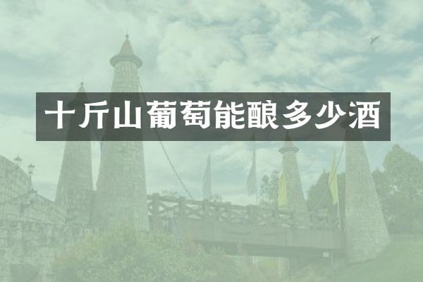 十斤山葡萄能酿多少酒