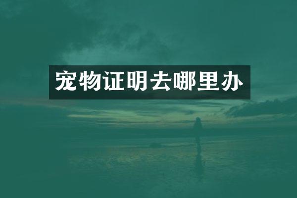 宠物证明去哪里办