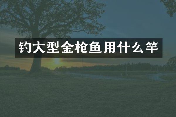 钓大型金鱼用什么竿