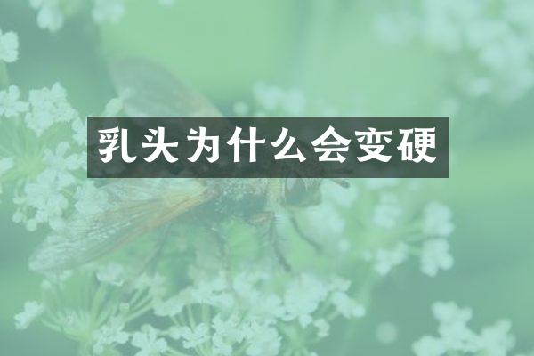 乳头为什么会变硬