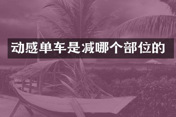 动感单车是减哪个部位的