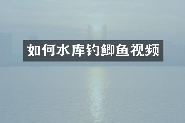 如何水库钓鲫鱼视频