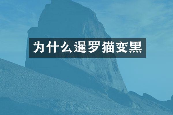 为什么暹罗猫变黑