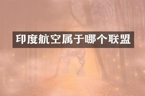 印度航空属于哪个联盟