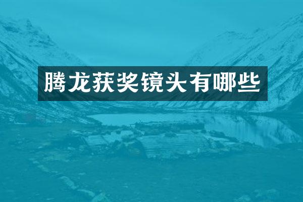 腾龙获奖镜头有哪些