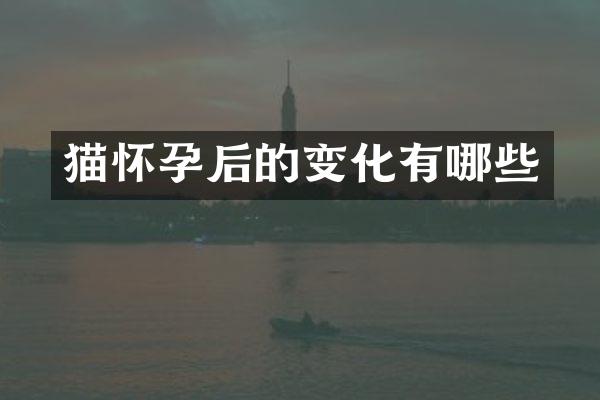 猫怀孕后的变化有哪些