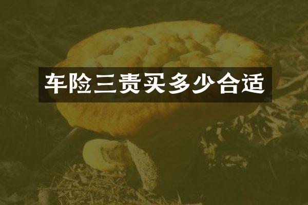 车险三责买多少合适