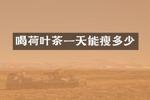 喝荷叶茶一天能瘦多少