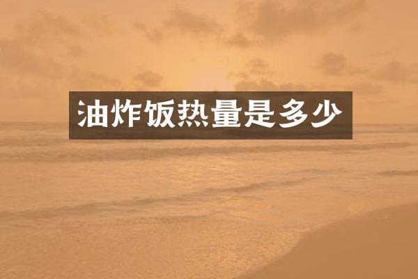 油炸饭热量是多少