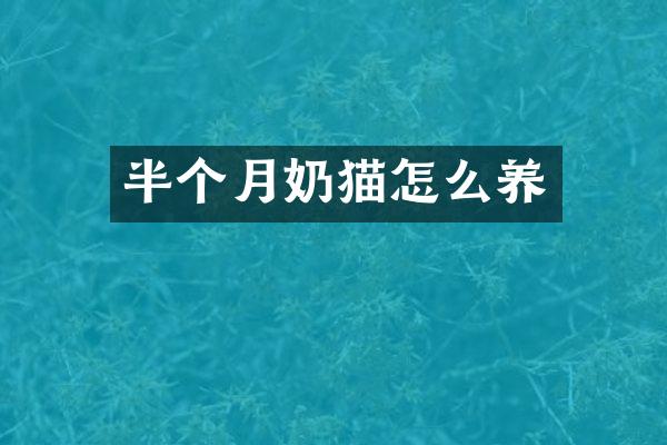 半个月奶猫怎么养