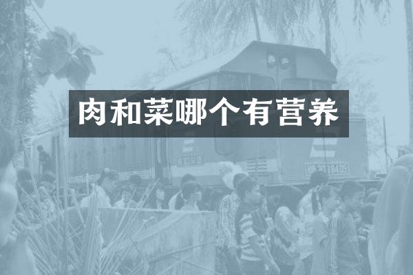 肉和菜哪个有营养