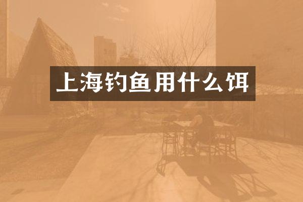 上海钓鱼用什么饵