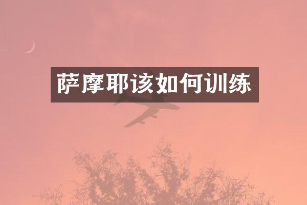 萨摩耶该如何训练