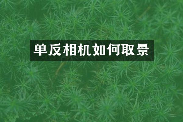 单反相机如何取景