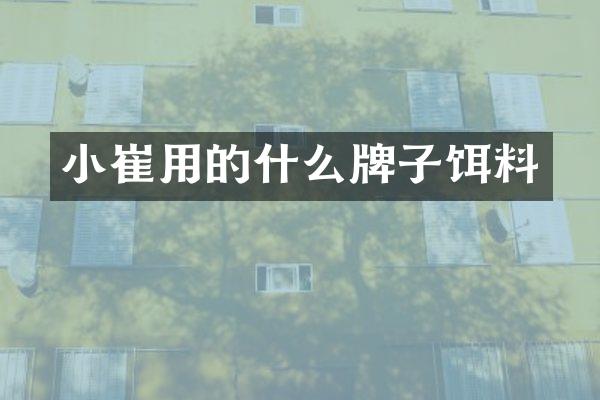 小崔用的什么牌子饵料