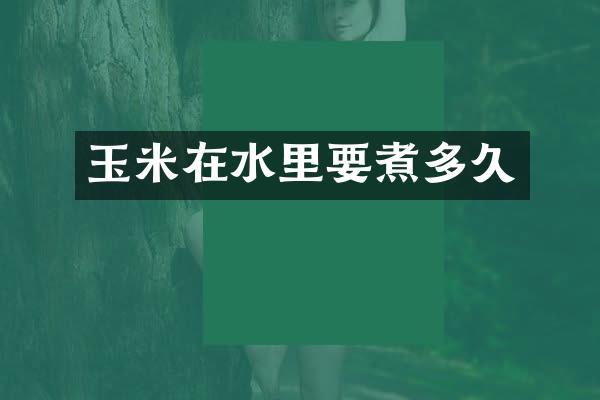 玉米在水里要煮多久