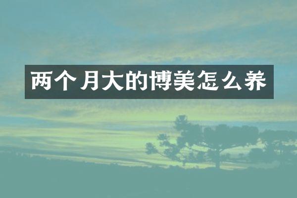 两个月大的博美怎么养