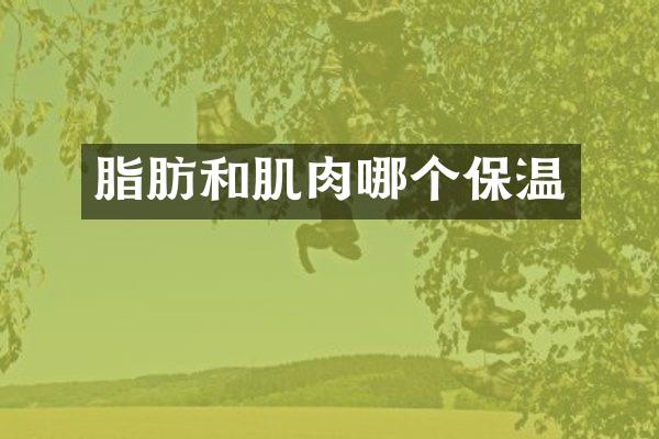 脂肪和肌肉哪个保温