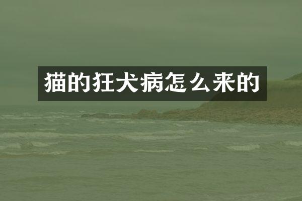 猫的狂犬病怎么来的