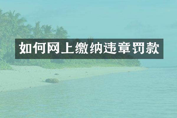 如何网上缴纳违章罚款