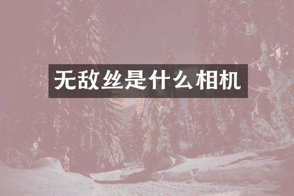 无敌丝是什么相机