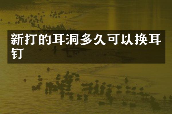新打的耳洞多久可以换耳钉