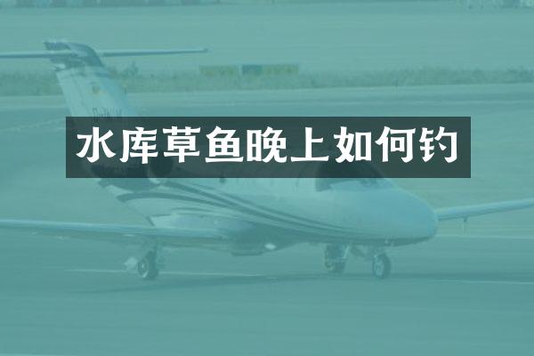 水库草鱼晚上如何钓
