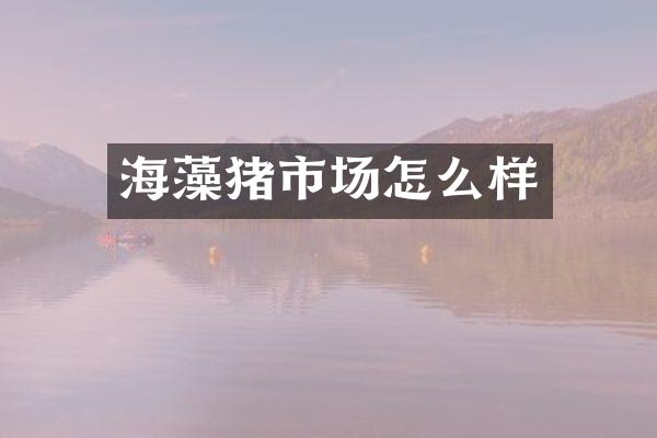 海藻猪市场怎么样