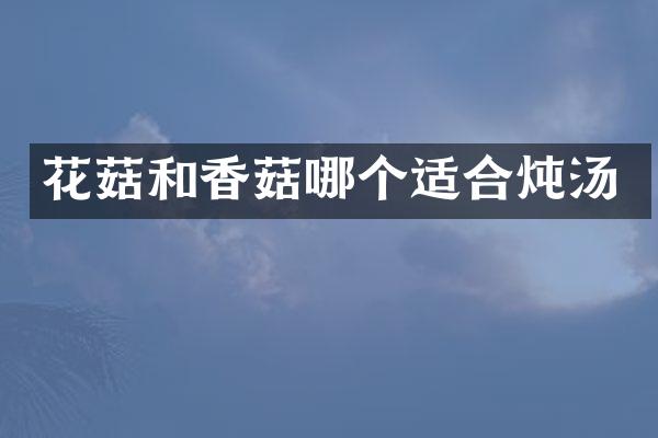 花菇和香菇哪个适合炖汤