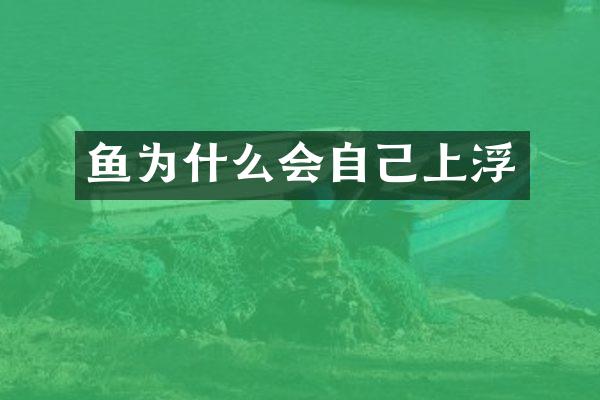 鱼为什么会自己上浮