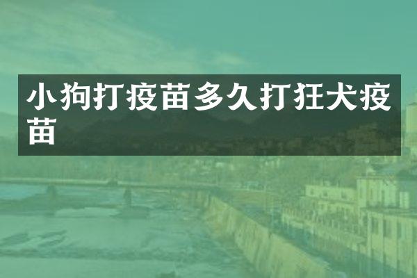 小狗打疫苗多久打狂犬疫苗