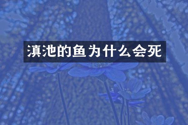 滇池的鱼为什么会死