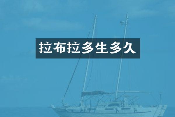 拉布拉多生多久