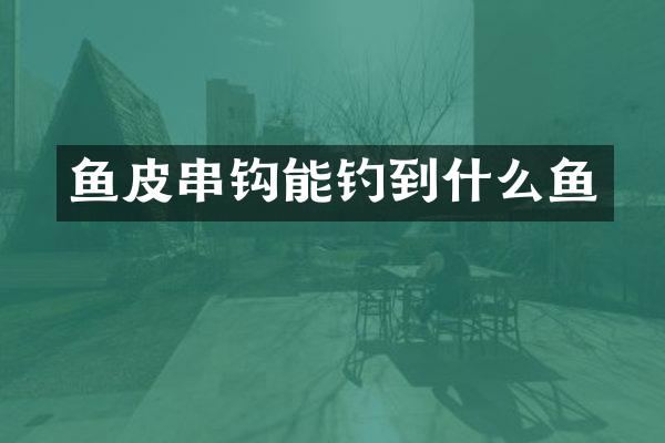 鱼皮串钩能钓到什么鱼
