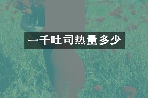 一千吐司热量多少