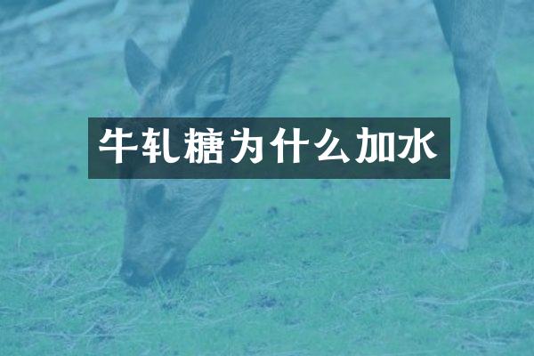牛轧糖为什么加水