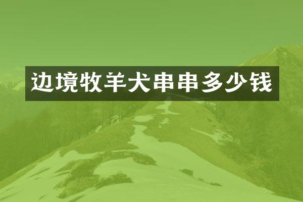 边境牧羊犬串串多少钱