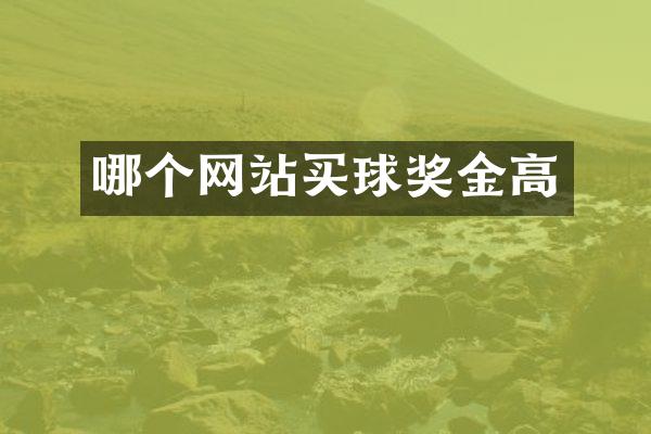 哪个网站买球奖金高