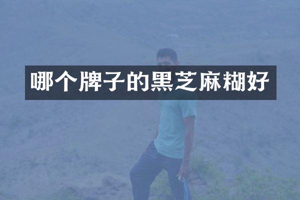 哪个牌子的黑芝麻糊好