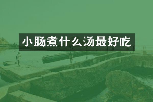 小肠煮什么汤最好吃