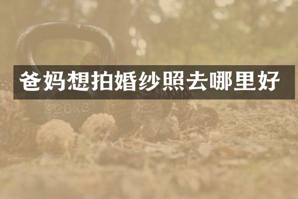 爸妈想拍婚纱照去哪里好