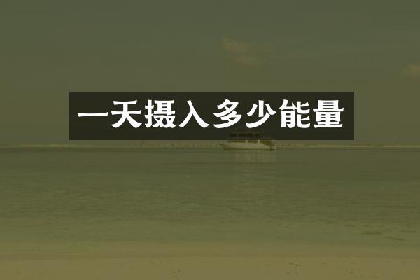 一天摄入多少能量