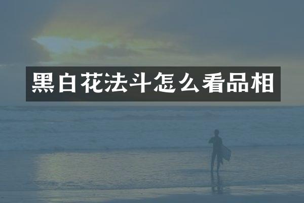 黑白花法斗怎么看品相