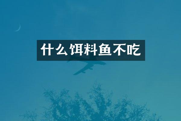 什么饵料鱼不吃