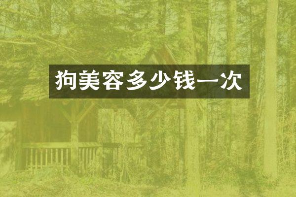 狗美容多少钱一次
