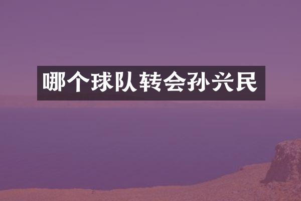 哪个球队转会孙兴民