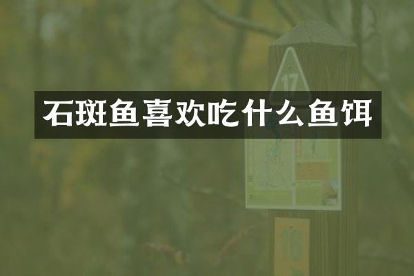 石斑鱼喜欢吃什么鱼饵