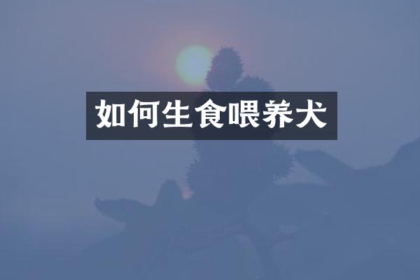 如何生食喂养犬