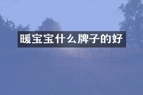 暖宝宝什么牌子的好