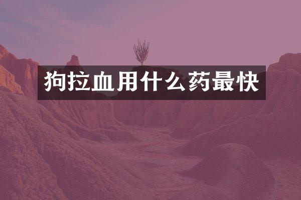 狗拉血用什么药最快